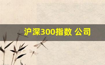 沪深300指数 公司(沪深300指数公司利润增速)_https://www.brunchezvous.com_自驾游_第1张